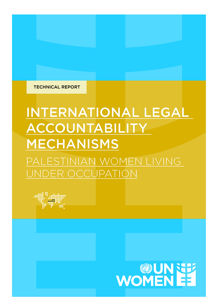 International Legal Accountability Mechanisms